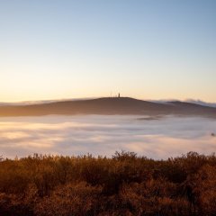 Hochnebel im Taunus