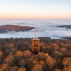 Nebel im Taunus